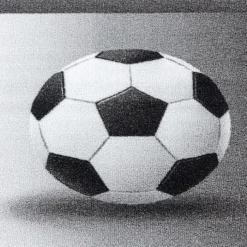 Fußballteppich - Pleun Champion Grau